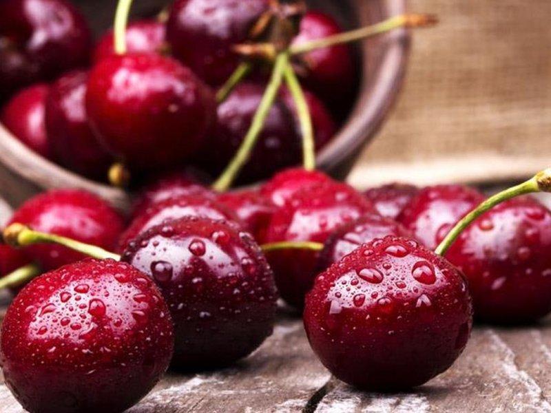 Вишня купить саженцы из питомника в Минеральных Водах